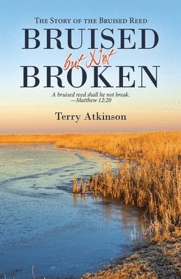 Terry Atkinson - Bruised but Not Broken, Häftad