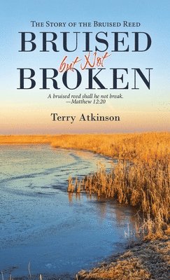 Terry Atkinson - Bruised but Not Broken, Inbunden