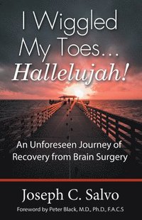bokomslag I Wiggled My Toes ... Hallelujah!: An Unforeseen Journey of Recovery from Brain Surgery