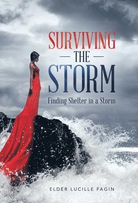 Surviving the Storm 1