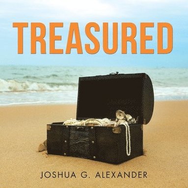bokomslag Treasured