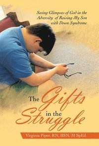bokomslag Gifts in the Struggle