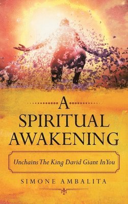 bokomslag Spiritual Awakening