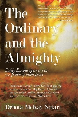 The Ordinary and the Almighty 1