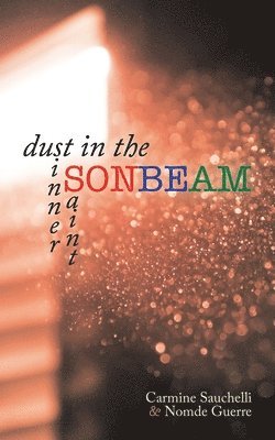 Dust in the Sonbeam 1