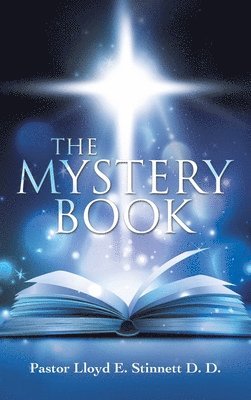 bokomslag Mystery Book