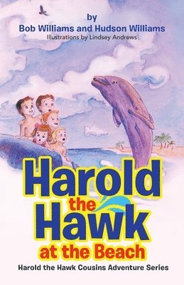 Harold the Hawk at the Beach 1