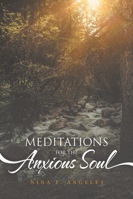 bokomslag Meditations for the Anxious Soul