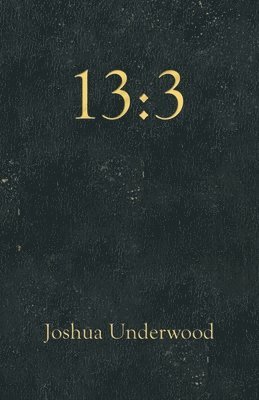 Joshua Underwood - 13, Häftad