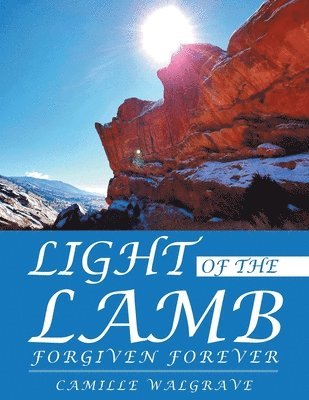 bokomslag Light of the Lamb