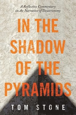 In the Shadow of the Pyramids 1