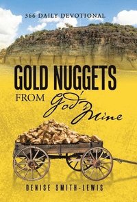 bokomslag Gold Nuggets from God's Mine