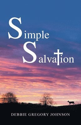 bokomslag Simple Salvation