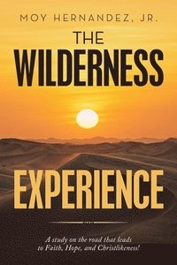 bokomslag The Wilderness Experience