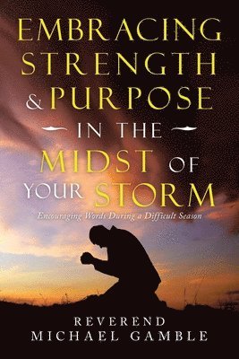 bokomslag Embracing Strength & Purpose in the Midst of Your Storm