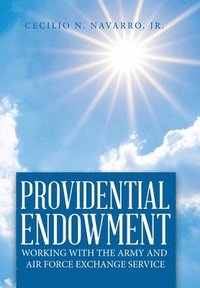 bokomslag Providential Endowment