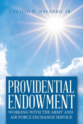 bokomslag Providential Endowment