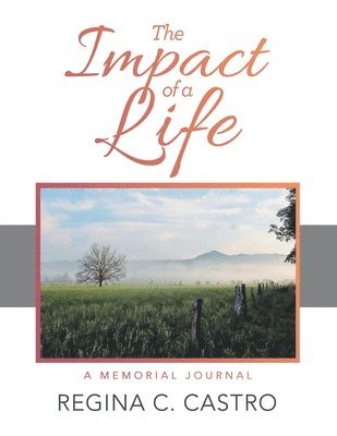 The Impact of a Life 1