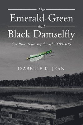 bokomslag Emerald-Green and Black Damselfly