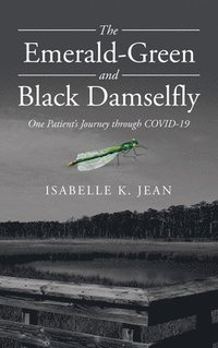 bokomslag Emerald-Green and Black Damselfly