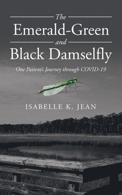 bokomslag Emerald-Green and Black Damselfly