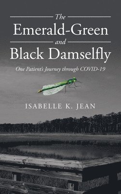 The Emerald-Green and Black Damselfly 1