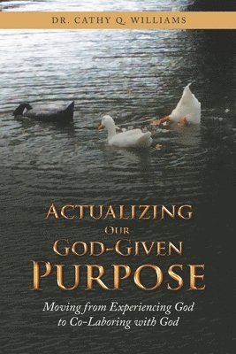 Cathy Q Williams, Cathy Q. Williams, Dr. Cathy Q. Williams - Actualizing Our God-Given Purpose, Häftad