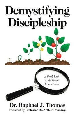 bokomslag Demystifying Discipleship