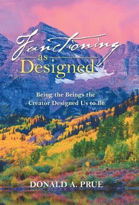 Functioning as Designed 1
