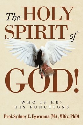 bokomslag The Holy Spirit of God!