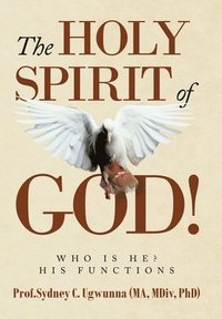 bokomslag The Holy Spirit of God!