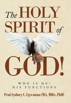 bokomslag Holy Spirit of God!