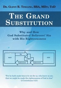 bokomslag The Grand Substitution