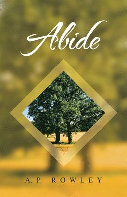 Abide 1