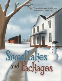bokomslag Snowflakes and Packages