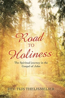 bokomslag Road to Holiness