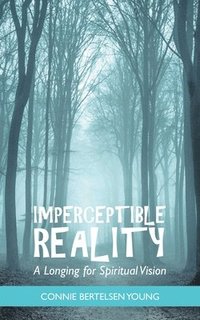 bokomslag Imperceptible Reality