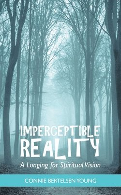 Imperceptible Reality 1