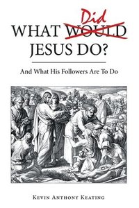 bokomslag What Did Jesus Do?
