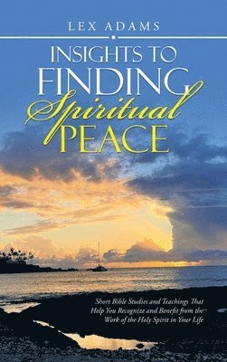 bokomslag Insights to Finding Spiritual Peace