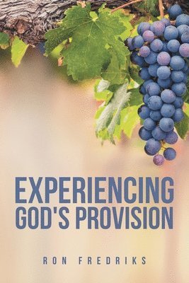 Experiencing God's Provision 1