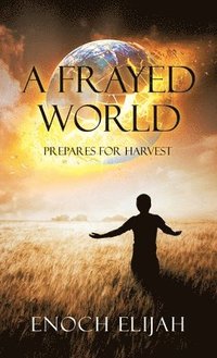 bokomslag Frayed World