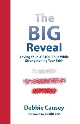bokomslag Big Reveal