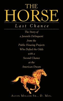 Horse 1