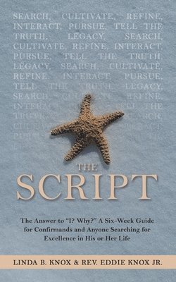 The Script 1