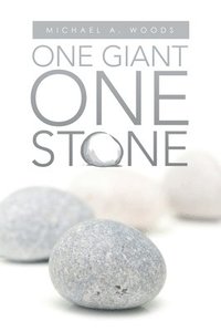 bokomslag One Giant One Stone