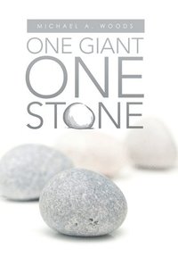 bokomslag One Giant One Stone