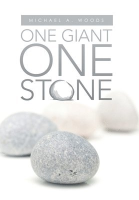 One Giant One Stone 1