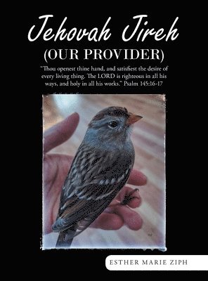 Esther Marie Ziph - Jehovah Jireh (Our Provider), Inbunden