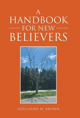 bokomslag A Handbook for New Believers